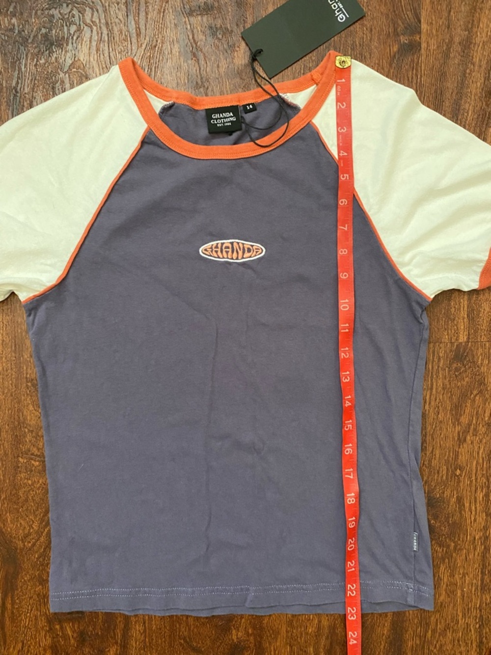 Ghanda Retro Colorblock Ringer Tee! - Picture 4 of 5